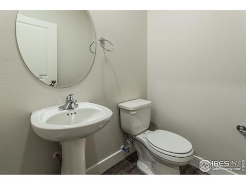 5748 Stone Fly Dr, Timnath, CO 80547 photo 27
