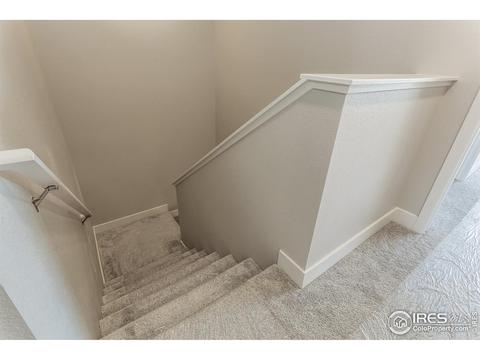 5748 Stone Fly Dr, Timnath, CO 80547 photo 39