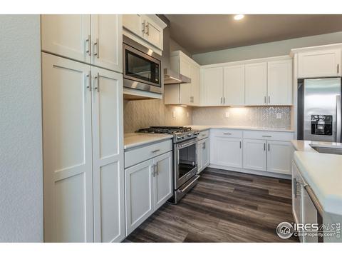5748 Stone Fly Dr, Timnath, CO 80547 photo 18