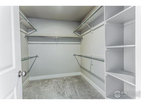 5748 Stone Fly Dr, Timnath, CO 80547 photo 31