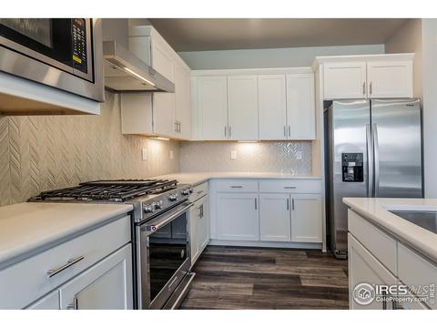 5748 Stone Fly Dr, Timnath, CO 80547 photo 20