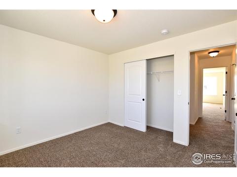938 Scotch Pine Dr, Severance, CO 80550 photo 32