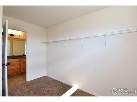 938 Scotch Pine Dr, Severance, CO 80550 photo 27