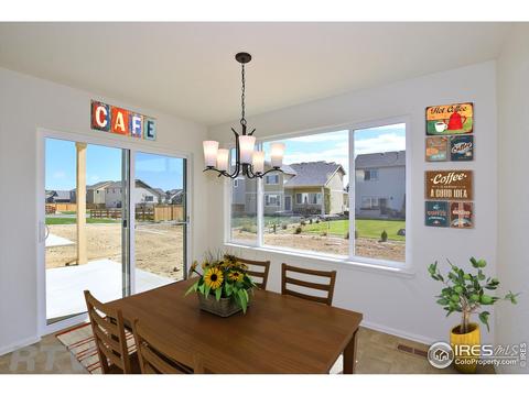938 Scotch Pine Dr, Severance, CO 80550 photo 15