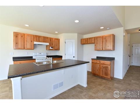 938 Scotch Pine Dr, Severance, CO 80550 photo 10