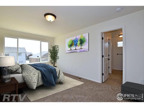 938 Scotch Pine Dr, Severance, CO 80550 photo 22