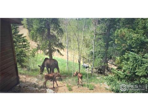 53 Wallens Pl, Black Hawk, CO 80422 photo 32