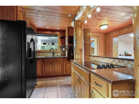 53 Wallens Pl, Black Hawk, CO 80422 photo 16