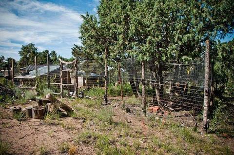 418 Moonlight Way, Crestone, CO 81131 photo 22