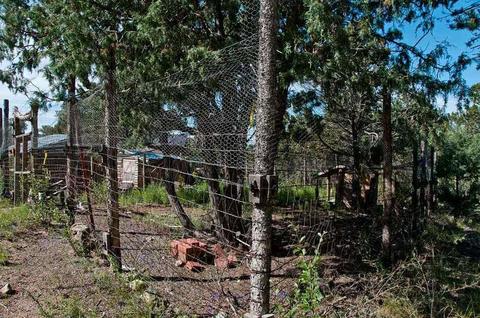 418 Moonlight Way, Crestone, CO 81131 photo 21