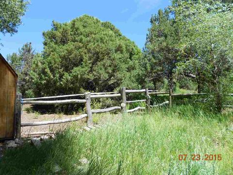 39 Cottonwood, Mosca, CO 81146 photo 10