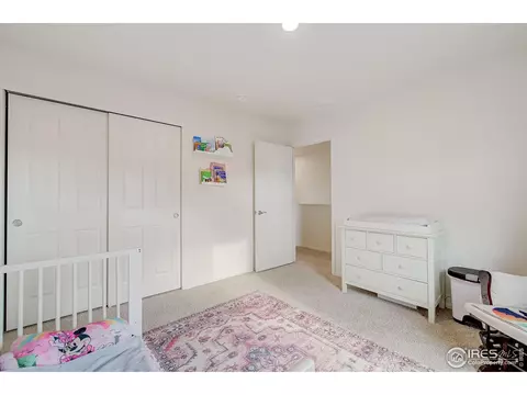 327 Central Ave, Severance, CO 80550 photo 29