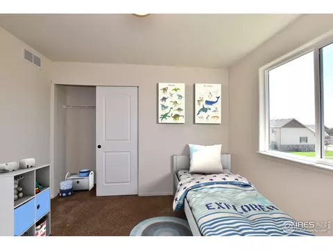 2350 Graceful St, Windsor, CO 80550 photo 8