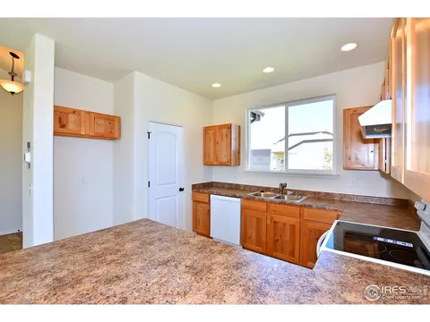 2350 Graceful St, Windsor, CO 80550 photo 12