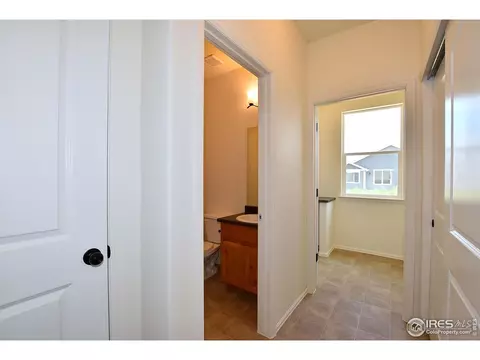 2362 Graceful St, Windsor, CO 80550 photo 24