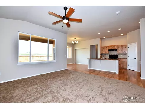 2279 Graceful St, Windsor, CO 80550 photo 13