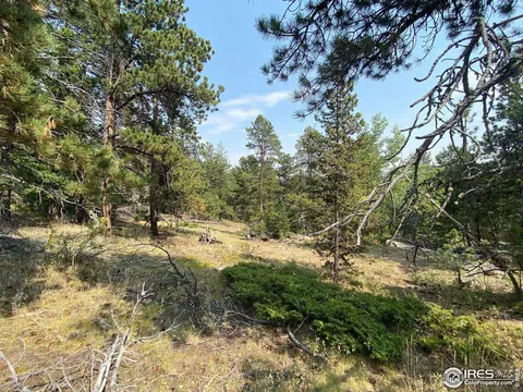 200 Hard Way Rd, Ward, CO 80481 photo 2