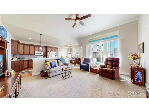 3321 Corvina Ct, Evans, CO 80634 photo 3