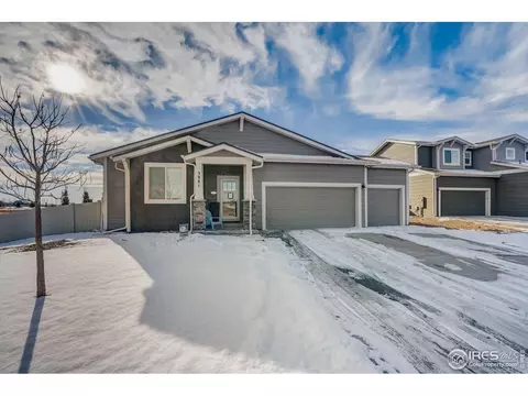 3981 River Birch St, Wellington, CO 80549