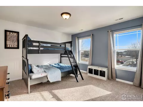 1540 Millfleet Dr, Windsor, CO 80550 photo 30