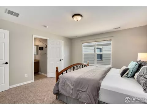 1540 Millfleet Dr, Windsor, CO 80550 photo 25