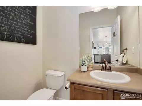 1540 Millfleet Dr, Windsor, CO 80550 photo 18