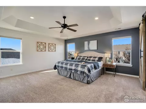 1540 Millfleet Dr, Windsor, CO 80550 photo 20