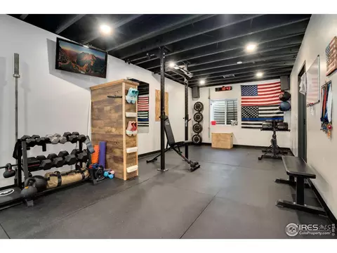 1540 Millfleet Dr, Windsor, CO 80550 photo 34