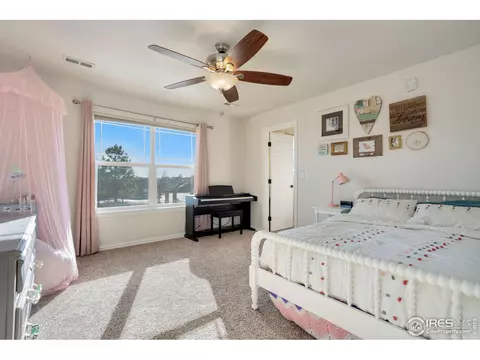 1540 Millfleet Dr, Windsor, CO 80550 photo 31