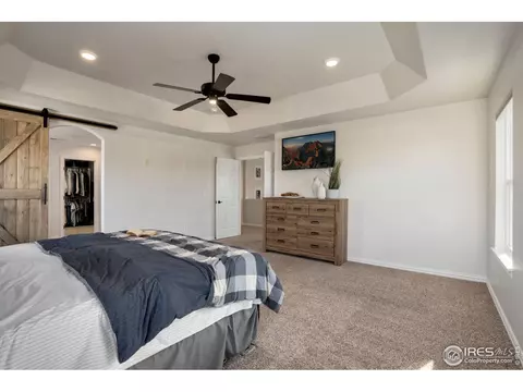 1540 Millfleet Dr, Windsor, CO 80550 photo 21