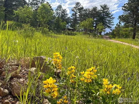 16950 Highway 7, Lyons, CO 80540 photo 6