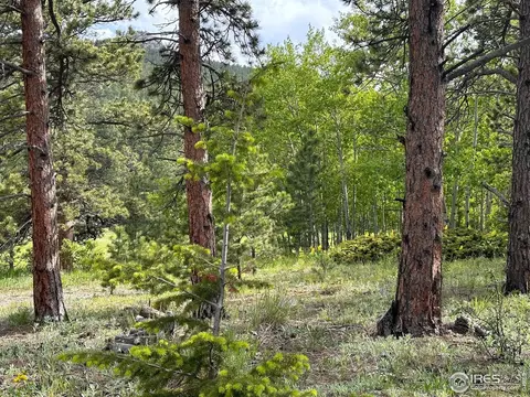 16950 Highway 7, Lyons, CO 80540 photo 8