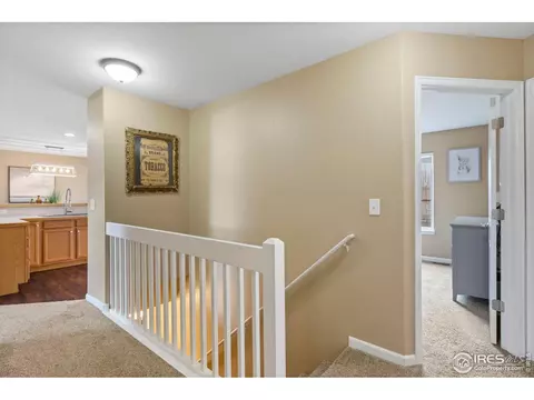 507 Vivian St, Severance, CO 80546 photo 27