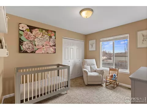 507 Vivian St, Severance, CO 80546 photo 23