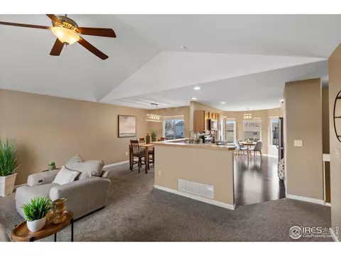 507 Vivian St, Severance, CO 80546 photo 8