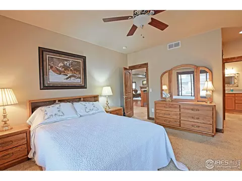 1994 Bayfront Dr, Windsor, CO 80550 photo 27