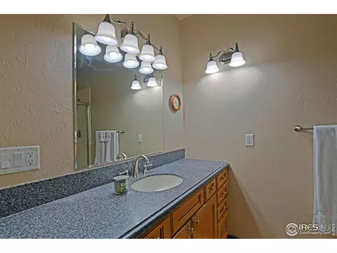 1994 Bayfront Dr, Windsor, CO 80550 photo 25