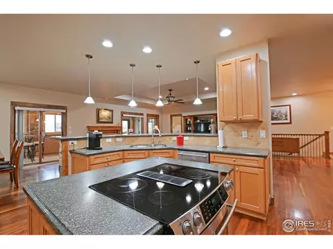 1994 Bayfront Dr, Windsor, CO 80550 photo 10