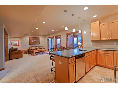 1994 Bayfront Dr, Windsor, CO 80550 photo 30