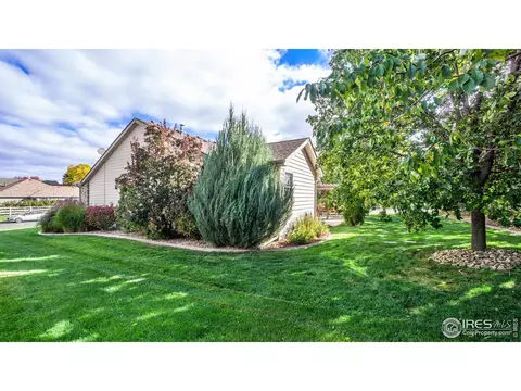 305 Cobble Dr, Windsor, CO 80550 photo 27