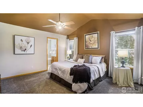 305 Cobble Dr, Windsor, CO 80550 photo 13