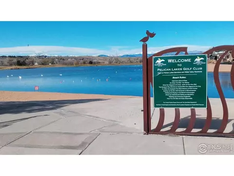 305 Cobble Dr, Windsor, CO 80550 photo 37