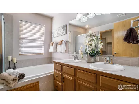 305 Cobble Dr, Windsor, CO 80550 photo 15