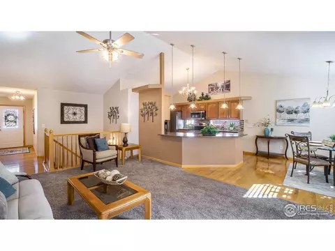 305 Cobble Dr, Windsor, CO 80550 photo 5