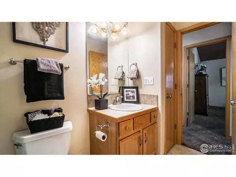 305 Cobble Dr, Windsor, CO 80550 photo 20