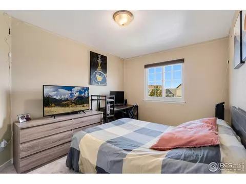 1585 Millfleet Dr, Windsor, CO 80550 photo 26
