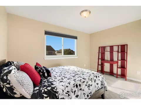 1585 Millfleet Dr, Windsor, CO 80550 photo 24