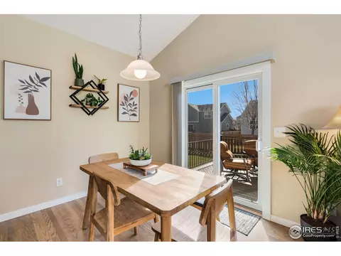 1585 Millfleet Dr, Windsor, CO 80550 photo 14