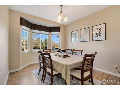 1585 Millfleet Dr, Windsor, CO 80550 photo 11