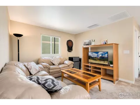 1585 Millfleet Dr, Windsor, CO 80550 photo 22